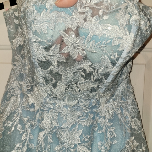 Prom or Homecoming Dress - Picture 3 of 16